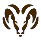 Holt